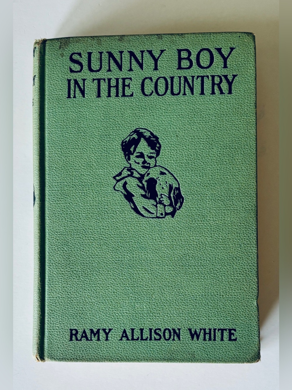 Sunny Boy in the Country 1920 by Ramy Allison White Antique Book Children